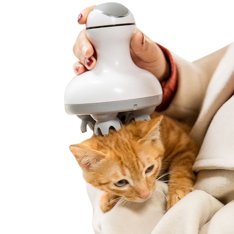 Electric Pet Massager